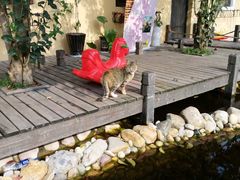 -RoMan罗马健身工作室(莘庄店)