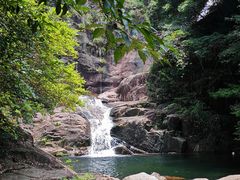 -花岩国家森林公园