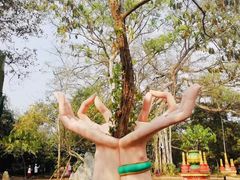 -瑞丽独树成林风景区