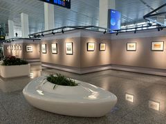 -石家庄正定国际机场-T2航站楼