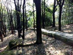 -火炉山森林公园