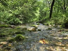-玉渡山自然风景区