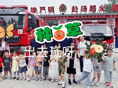 -柠檬国际幼儿园 Bright Academy
