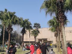 -自贡恐龙博物馆