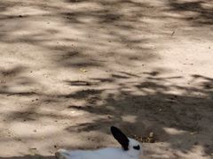 -杨柳青庄园