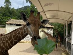 -泉州海丝野生动物世界