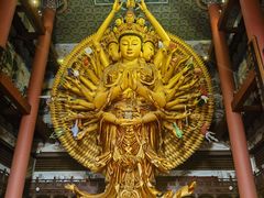 -上海东林寺(金山区)