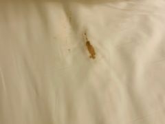 -无锡新湖铂尔曼大酒店