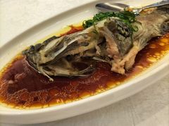 -欢乐海岸美食联盟