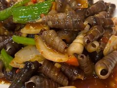 -土蚝·高压锅生蚝(百姓美食街店)