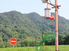-中国茶叶博物馆(双峰馆区)