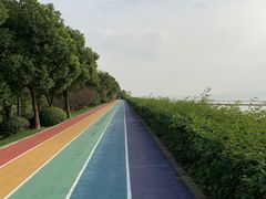 -贡湖湾湿地公园