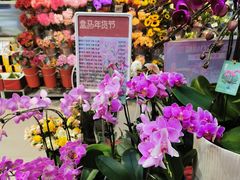 -盒马鲜生(宝地店)
