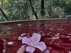 -天目湖涵田半山温泉