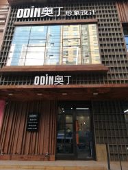 -ODIN 奥丁形象设计 