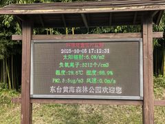 -黄海国家森林公园