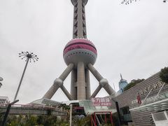 -上海大自然野生昆虫馆(东方明珠·爬宠昆虫探索中心)