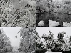 -岳麓山风景名胜区