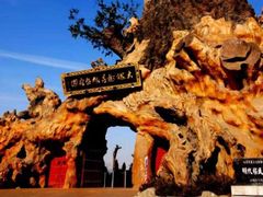 -大槐树寻根祭祖园