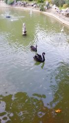 外景-虹桥迎宾馆·宴会厅