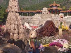 -北京十三陵国家森林公园蟒山景区