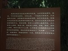 -恩阳古镇