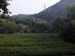 -东航云逸酒店(九溪烟树店)