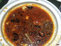 -三强鸽子(中原路店)