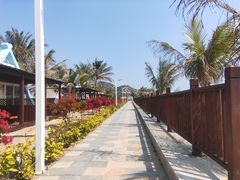-浪琴湾度假村