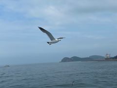 -海驴岛(荣成市)