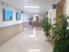 -上海市第四人民医院