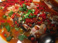 -坛宗剁椒鱼头(河西王府井店)