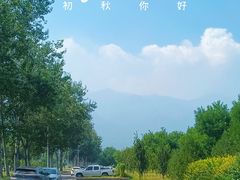 -阳台山自然风景区