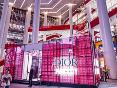 -Dior迪奥(上海世茂广场店)