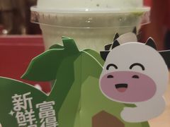 -一只酸奶牛(锦城万达天虹店)