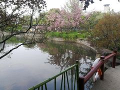 -嘉定紫藤园