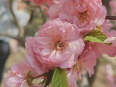 -元大都城垣遗址公园