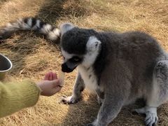 -无锡动物园·太湖欢乐园