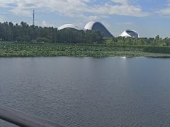 -哈尔滨大剧院