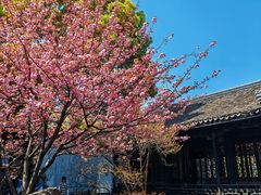 -惠山古镇·寄畅园