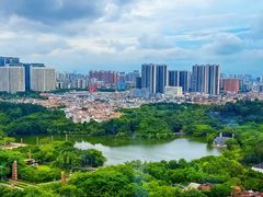 -安乐茶饭·手工素菜·高空景观餐厅(千灯湖店)