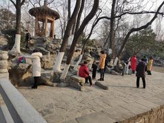 -莲湖公园