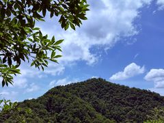 -灵顺寺