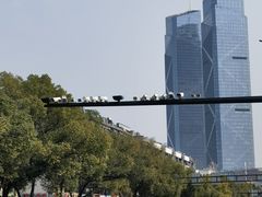 -尚食卢记烧饼(凤凰路总店)