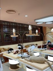 -奈尔宝·国风主题儿童乐园·亲子餐厅(豫园商城店)