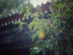 -湘子庙