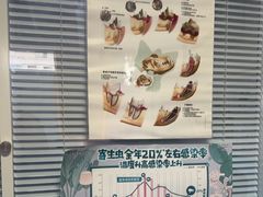 -瑞派福兴宠物医院犬猫全科·骨科·中西医结合(河东店)