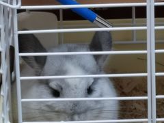 -龙猫仔乐园(惠福东路店)