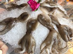 -煲宫猪肚鸡(晶品店)