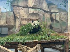 -无锡动物园·太湖欢乐园